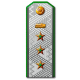 Погоны Генерал-директора 1-го ранга НКПС, обр. 1943 г.. 